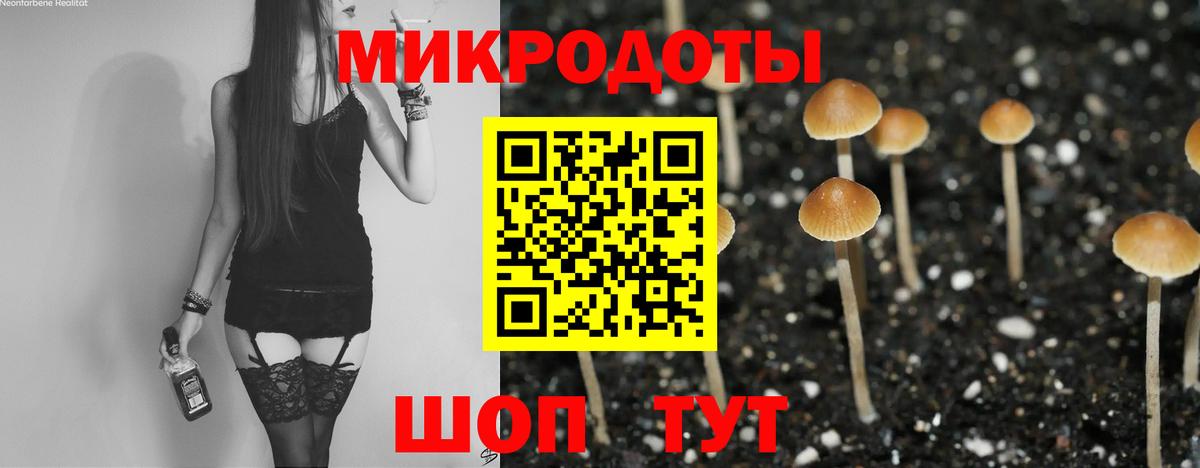Галлюциногенные грибы GOLDEN TEACHER  Псилоцибиновые грибы мухоморы  Вход с VPN  Казань 